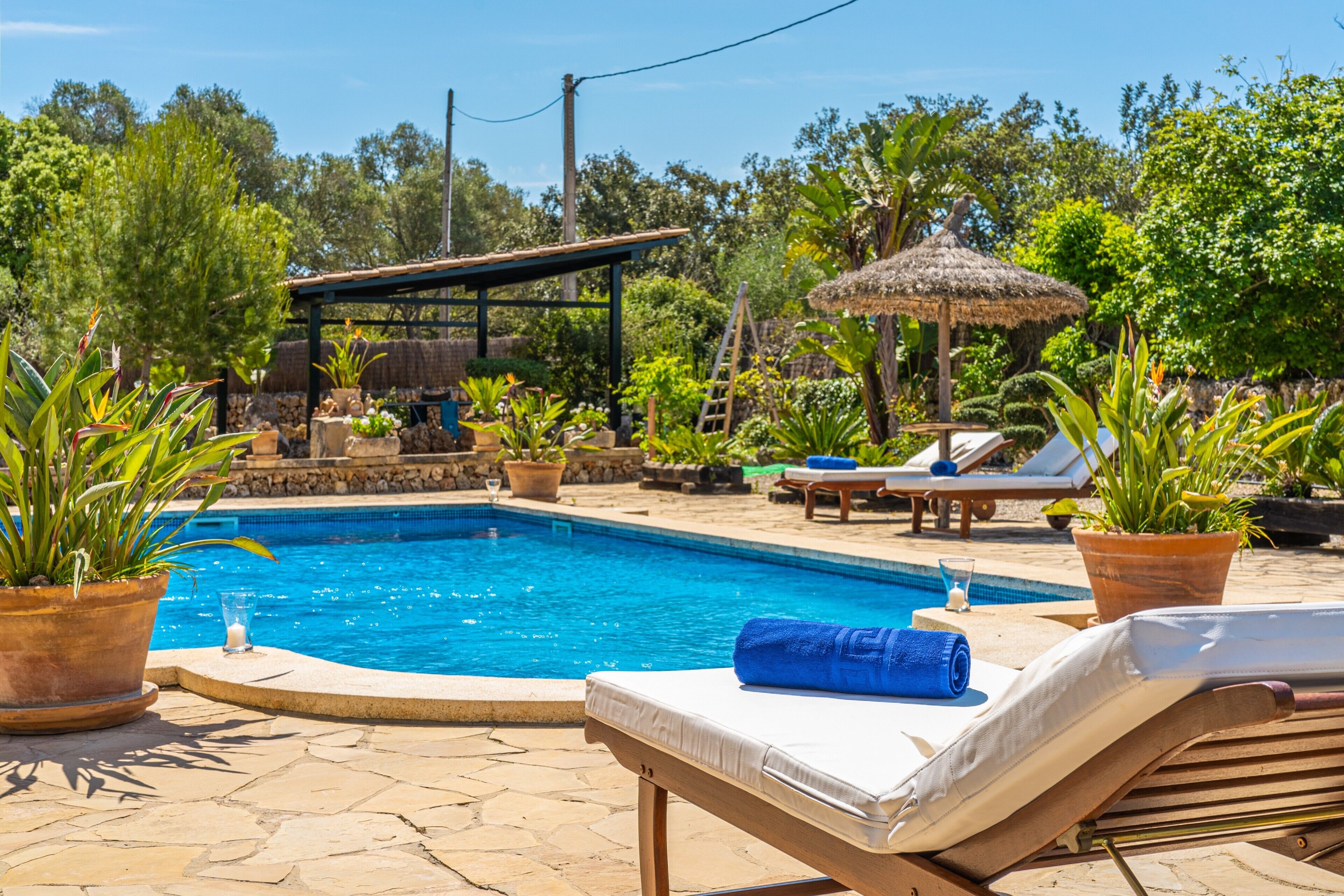 Un área de piscina con sillones de descanso, plantas en macetas y una pérgola.