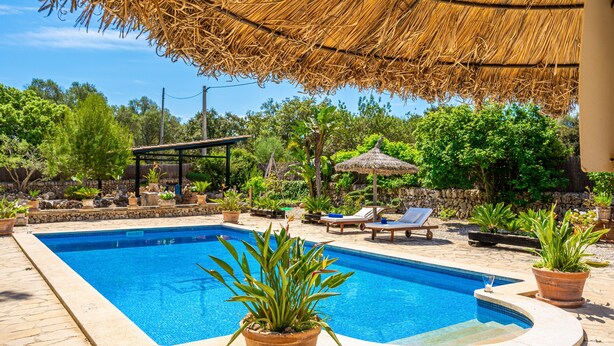 Piscina com borda de pedra, rodeada por plantas em vasos, espreguiçadeiras e uma estrutura de telhado de palha.