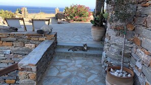 Villa, 3 Bedrooms, Smoking, Balcony | Property grounds - The Hill Top Cottage House In Kea (Kea)