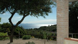 Una terraza con vista al mar, un árbol y plantas en macetas.