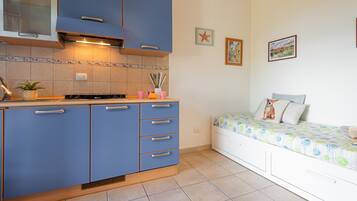 Fridge, stovetop, cookware/dishes/utensils