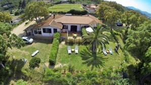 Una casa con techo de tejas, rodeada de vegetación y una palmera.