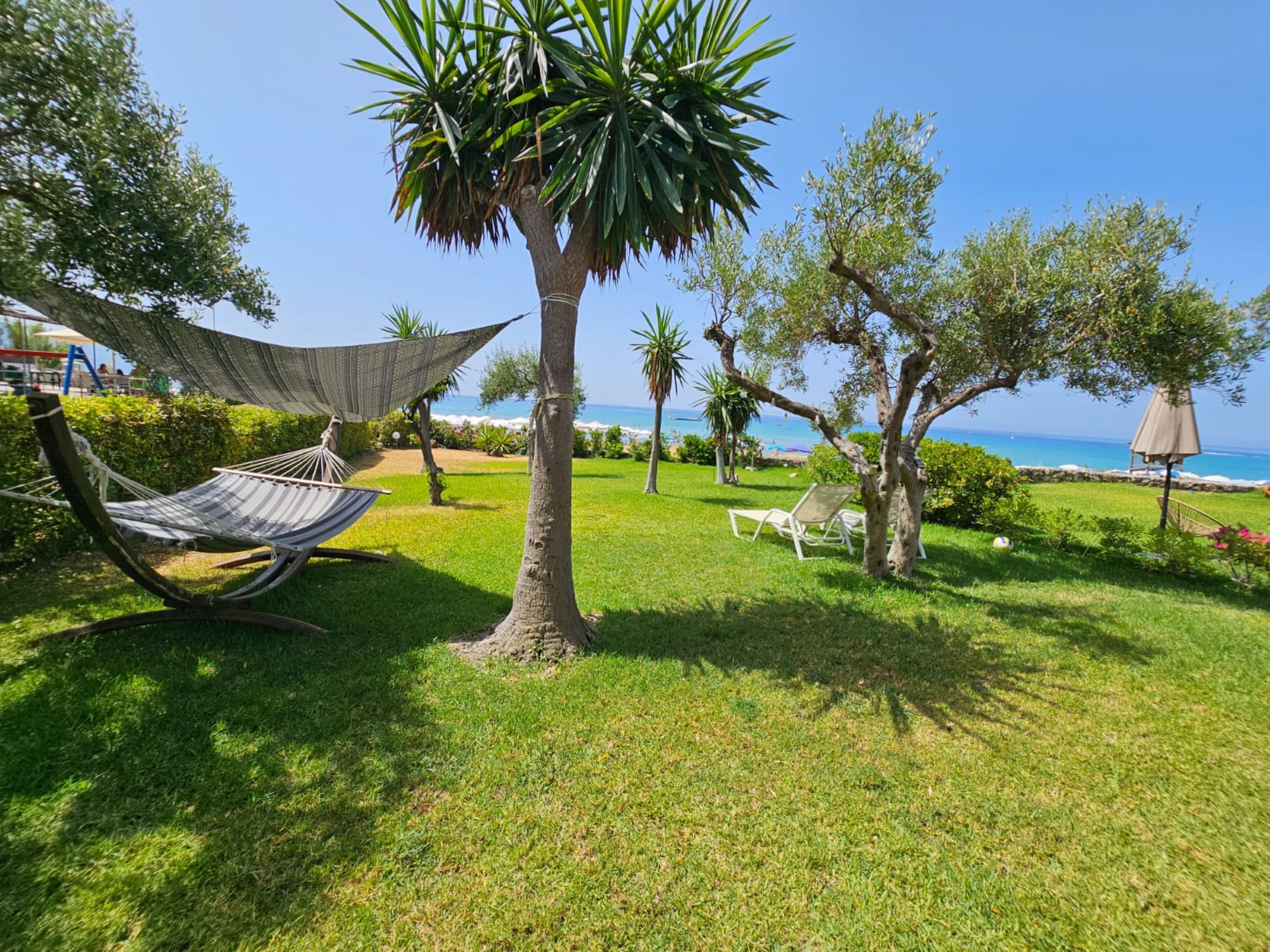 A grassy outdoor area with a hammock, a palm tree, and a view of the ocean.