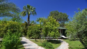 A stone pathway leading to a building surrounded by lush greenery and palm trees.