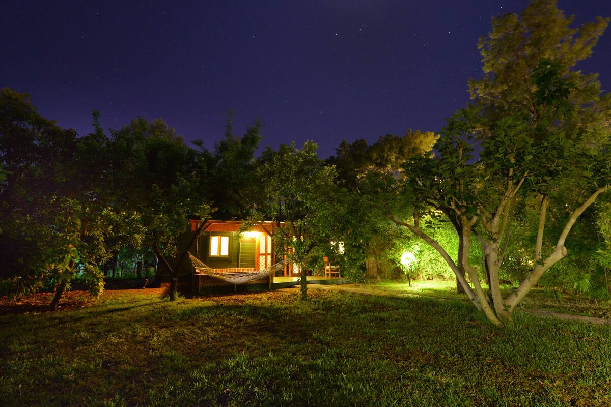 A small, cozy cabin with a hammock in the foreground, surrounded by trees and a clear night sky.