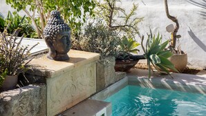 Ein ruhiger Poolbereich mit einer Buddha-Statue, Topfpflanzen und einer Steinstufe.