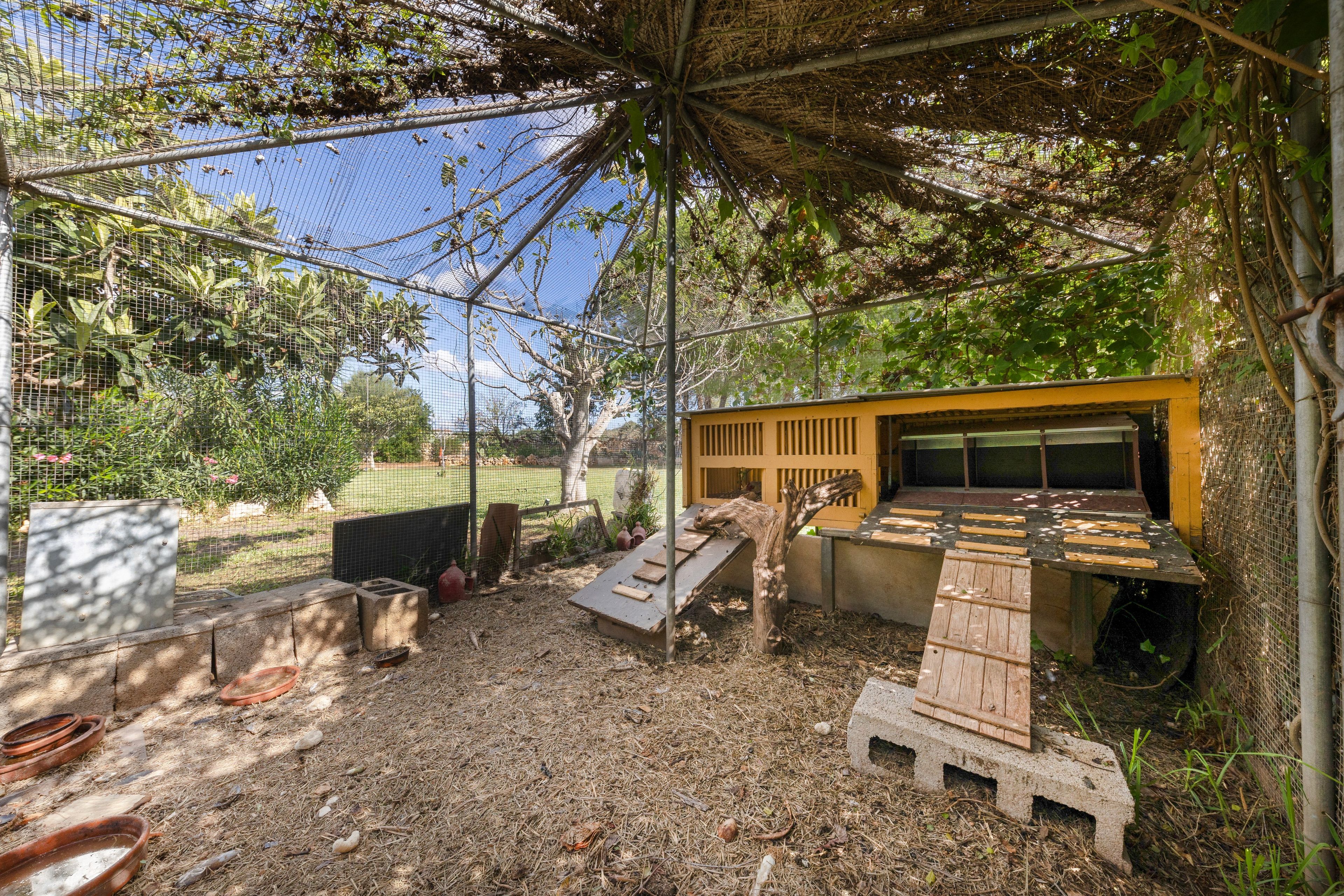 Un espacio al aire libre cercado con una estructura de madera, un comedero y un pequeño refugio.