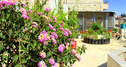 Shurooq Shams Hotel & Tours By Sunrise