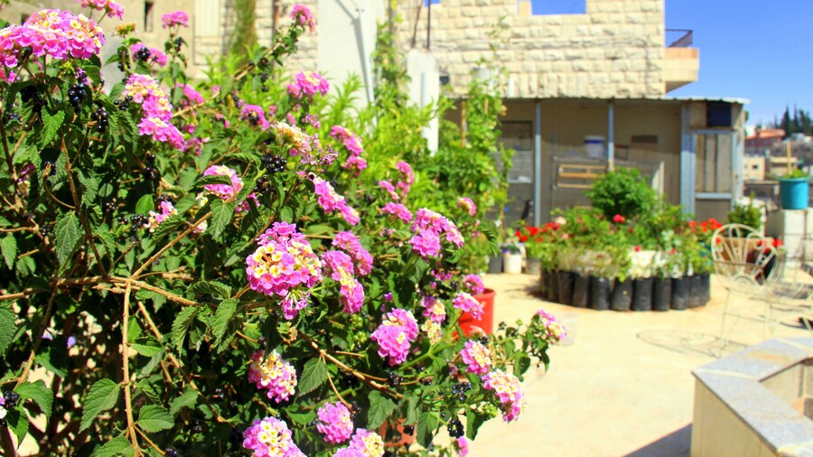 Shurooq Shams Hotel & Tours By Sunrise