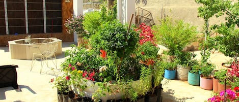 Jardín