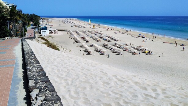 A beach with rows of sun loungers and umbrellas, a clear blue sky, and the ocean in the background. - Apartments Palm Garden (Pajara)