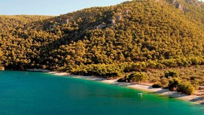 A coastal landscape with a beach and forested hills. - Welcome to Villa Soligia! Beach Front Villa Large Private Pool Amazing Sea View (Corinth)