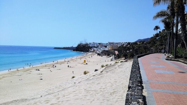 A beach with a paved walkway, palm trees, and a clear blue sky. - Apartments Palm Garden (Pajara)