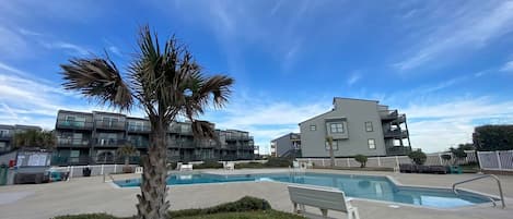 A pool area with a palm tree, a bench, and modern buildings in the background.