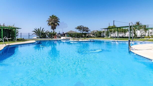 Piscina azul cristalina com uma palmeira e um gazebo ao fundo.
