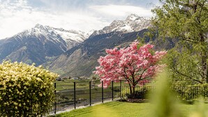 A mountain landscape with a road, a fence, and a tree with pink blossoms. - Chalet Penthouse – Schenna Chalet (Schenna)