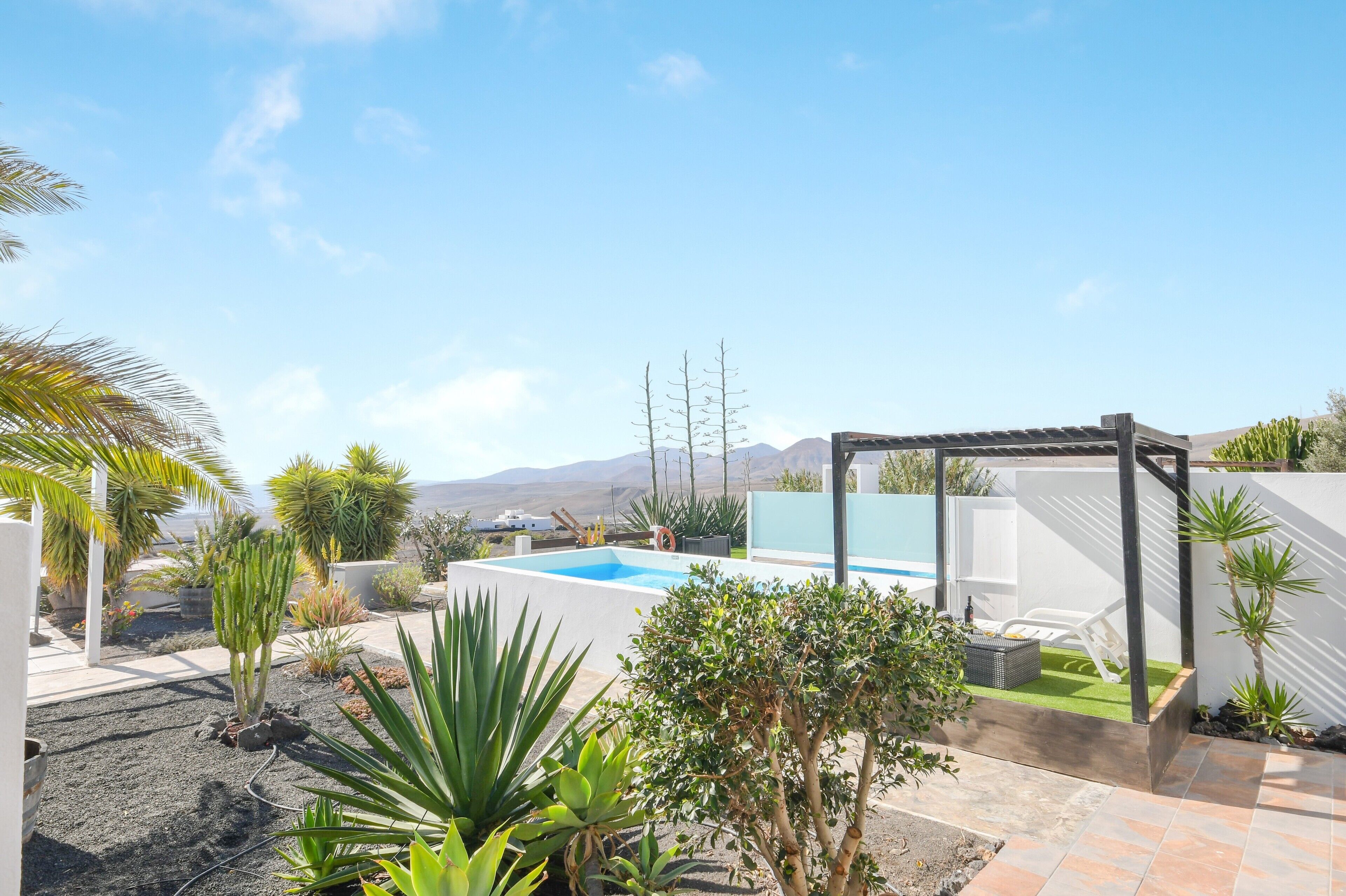 A backyard with a swimming pool, a pergola, and various plants.
