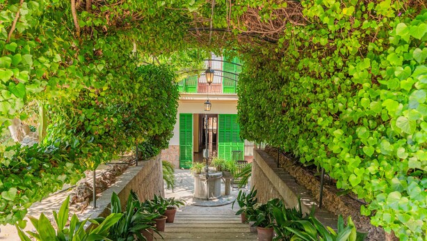 Una escalera rodeada de abundante vegetación que conduce a un edificio con contraventanas verdes.