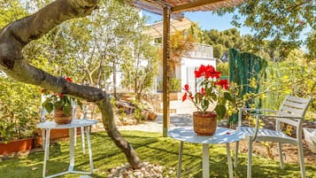 Terras