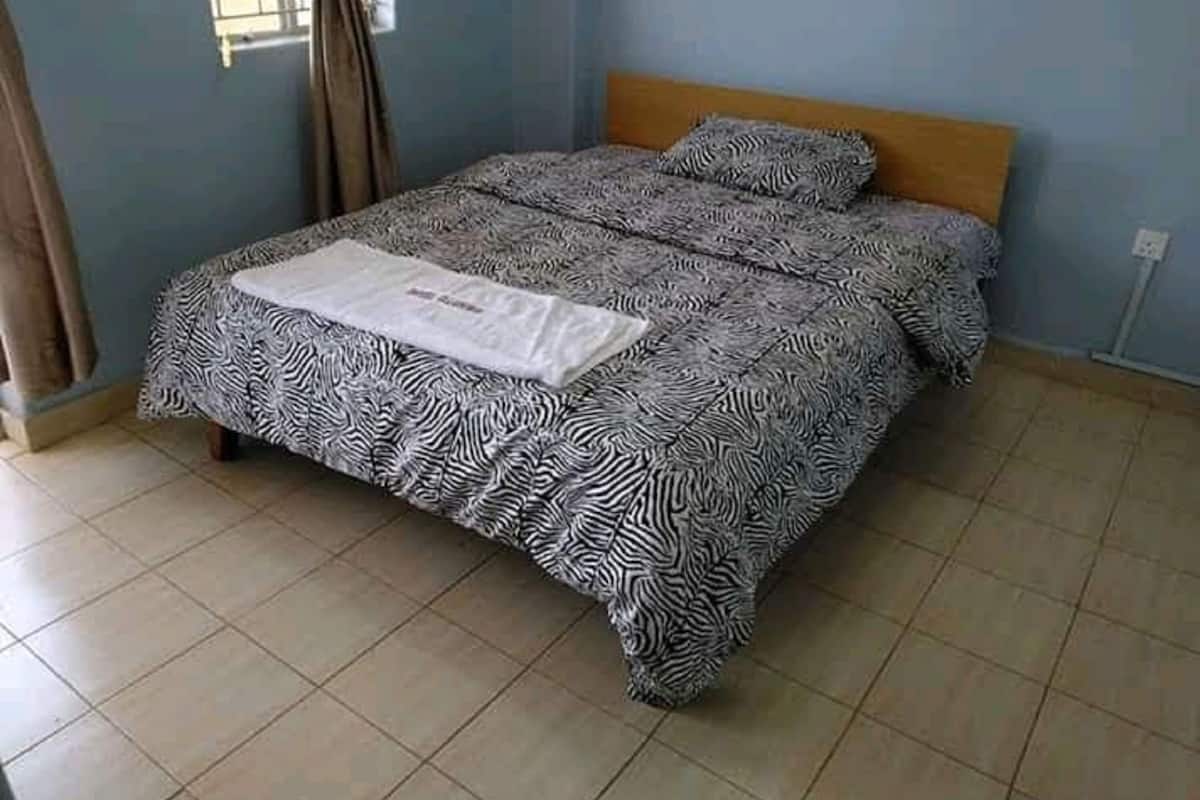 Un dormitorio con una colcha de estampado de cebra, cabecera de madera y una ventana con cortinas.