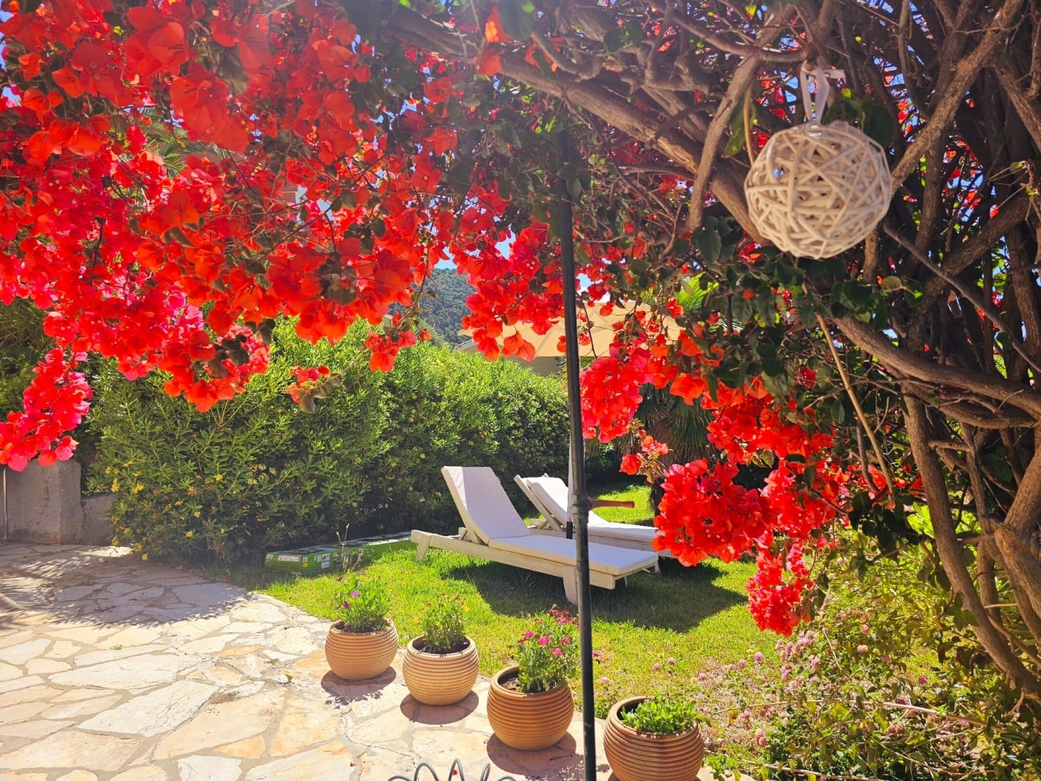 Jardín