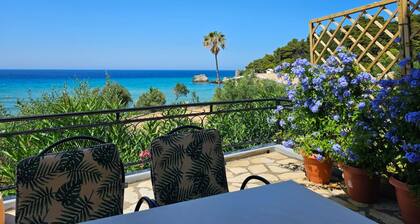 Corfu Glyfada Menigos Resort 45