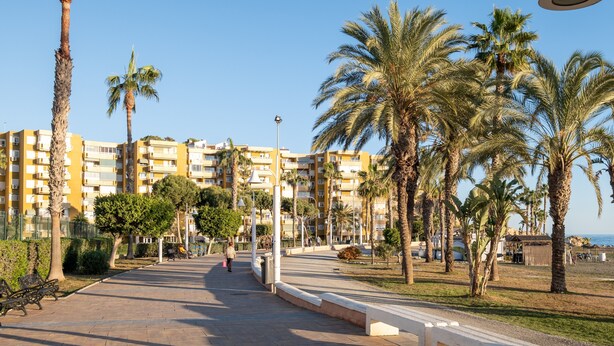 Un chemin pavé, bordé de palmiers et de bancs, mène à un ensemble de bâtiments dotés de balcons.