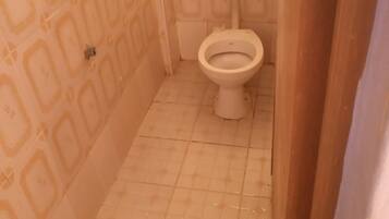 Shower, towels, soap, toilet paper