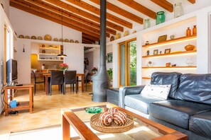 Televisie, een open haard, een tafeltennistafel en een stereo