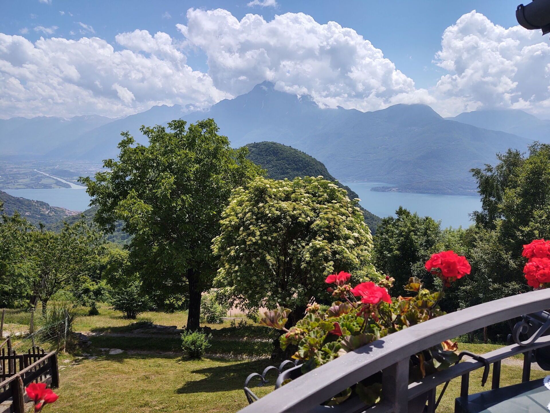 A garden with a view of a lake and mountains.