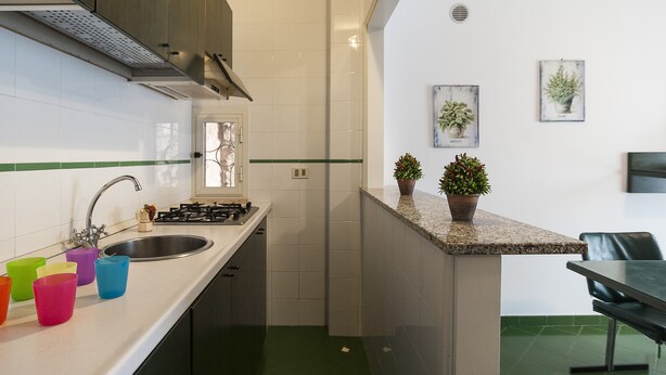 Una cocina con un lavamanos de acero inoxidable, una estufa a gas y una encimera con tazas de colores. Hay dos plantas en macetas sobre la encimera.
