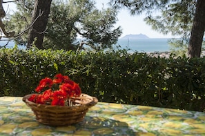 A table with a basket of red flowers, a patterned tablecloth, and a view of the sea and mountains in the background. - Casa Vacanza Kair (Sperlonga)