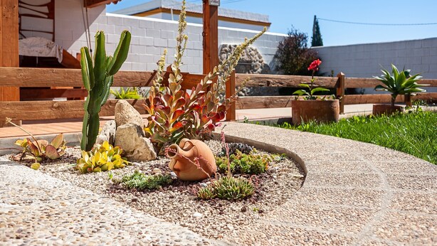 A garden with a cactus, succulent plants, and a clay pot. - Air-conditioned Holiday Home with Patio, Pool, Wi-Fi and Lawn (Barbate)