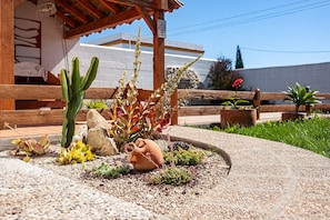 A garden with a cactus, succulent plants, and a clay pot.