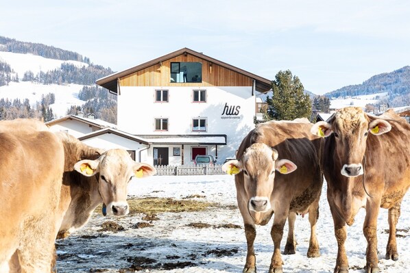 A building with 'hws apartments' signage, a wooden facade, and a view of snow-covered hills.