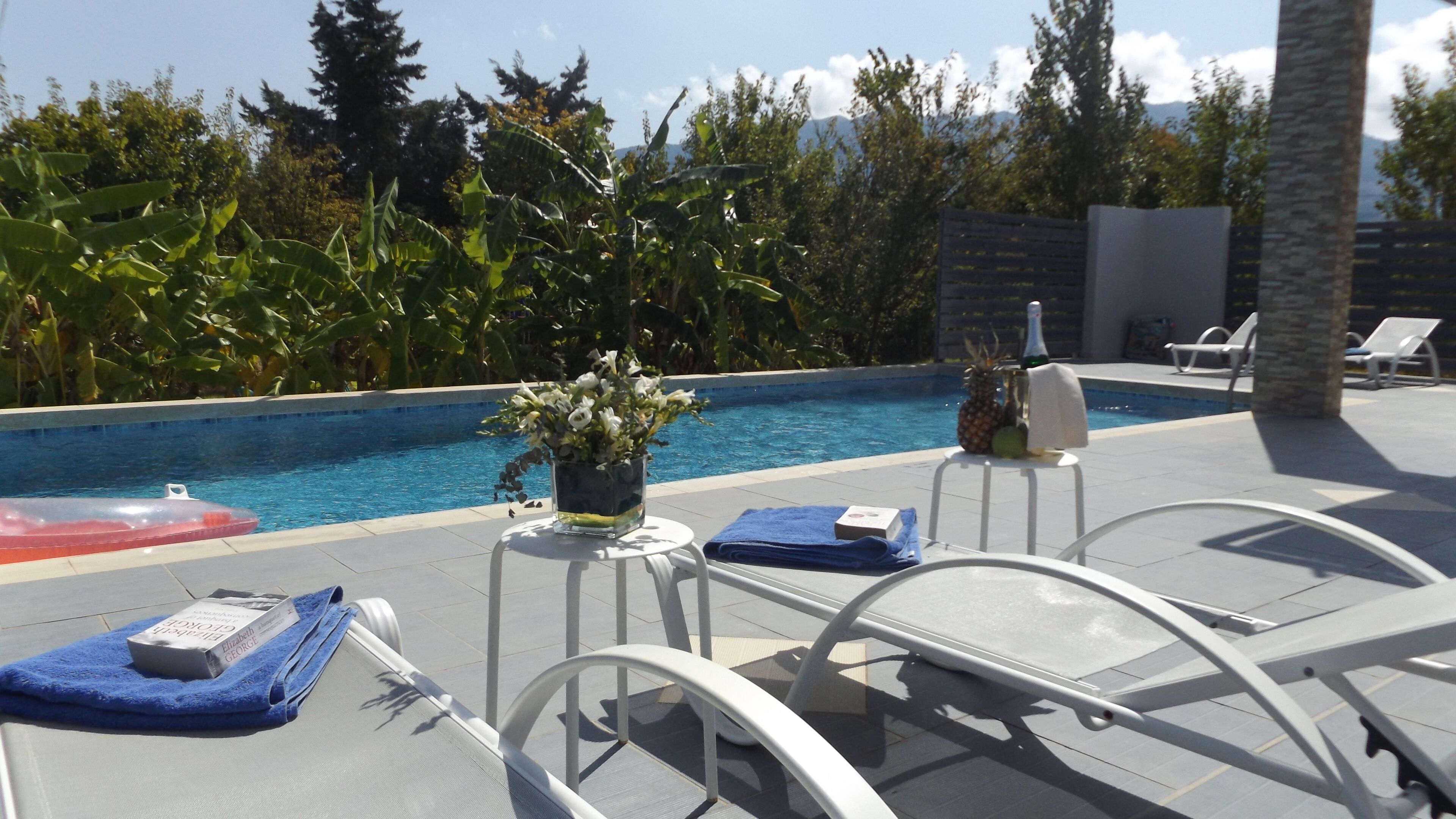 Vila, 5 quartos, piscina particular, vista para o jardim | Piscina | Piscina externa