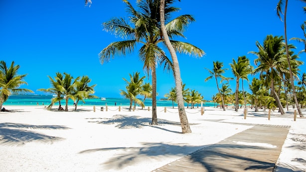 A beach with a wooden walkway, palm trees, and a clear blue sky. - White Sands Beach (Punta Cana)