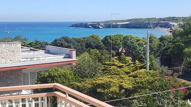 Vista sulla costa con cielo sereno, costa rocciosa e vegetazione lussureggiante.