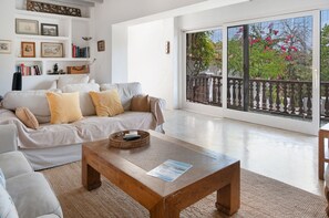 Televisión, chimenea y reproductor de DVD 