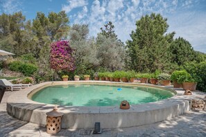 Una piscina con borde de piedra, rodeada de macetas y árboles.