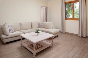 TV, fireplace, table tennis