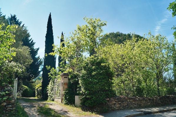 A stone wall, a gate, and a pathway leading into a wooded area.
