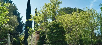 Vacation Home "Zypresse" - Relax in with a large, enclosed parklike garden.