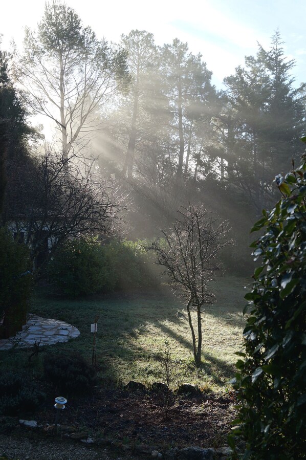المنطقة المحيطة بالمنشأة