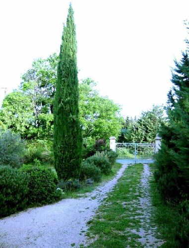 Maison de vacances "Zypresse" - Détendez-vous dans un grand jardin clos semblable à un parc.