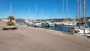A marina with multiple boats docked, a concrete walkway, and a palm tree.