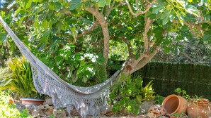 Eine Hängematte unter einem Baum, umgeben von Kübelpflanzen und einem Garten.