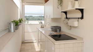 A narrow kitchen with a view to the outdoors, a sink, a stove, and a hanging plant. - Suite Martino Seaview (Monopoli)