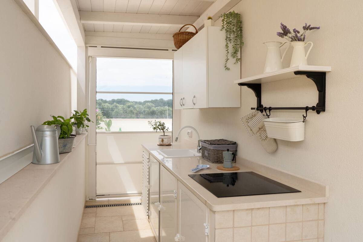 Une cuisine étroite donnant sur l’extérieur, avec un évier, une cuisinière et une plante suspendue.