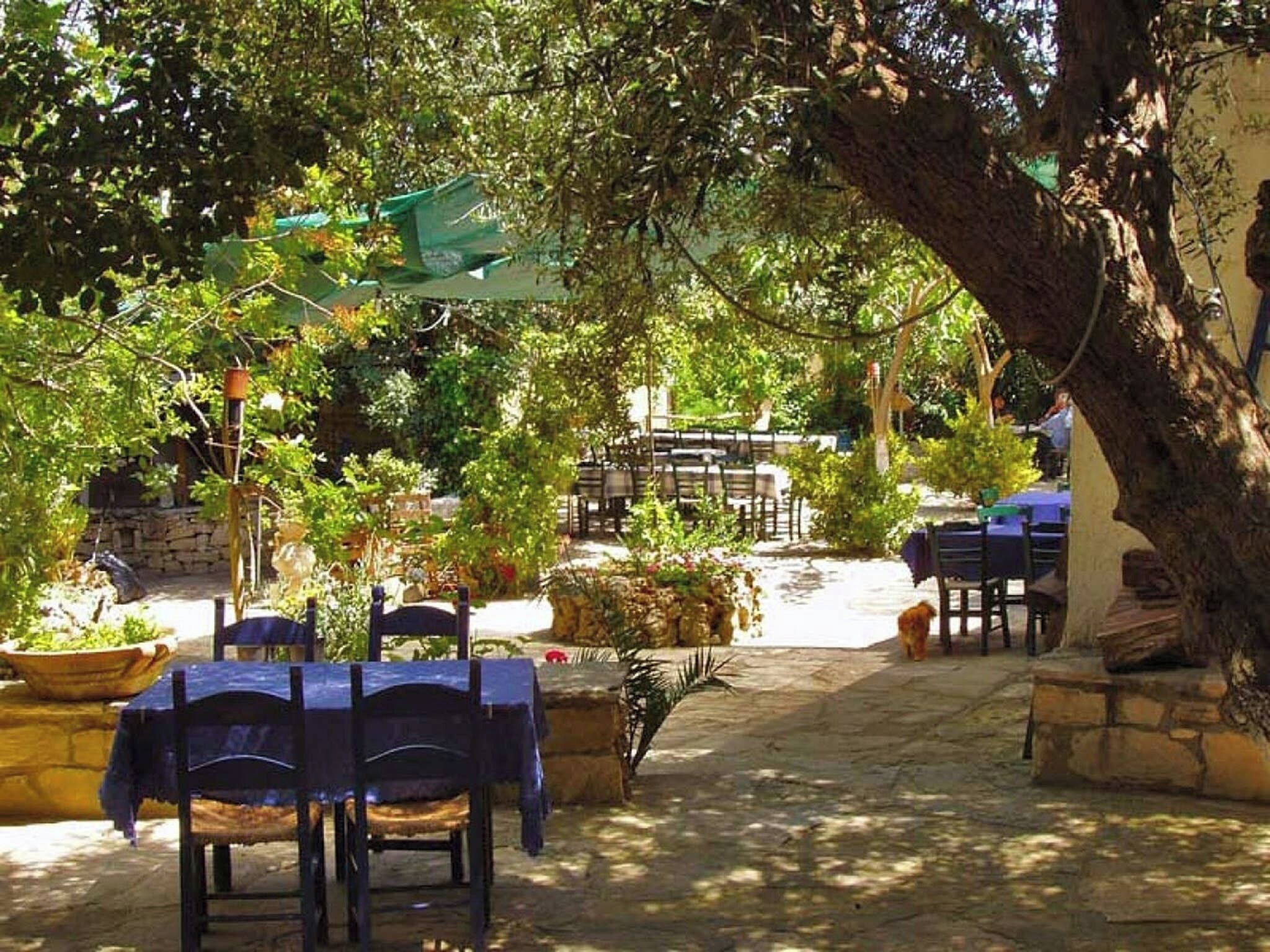 Un espace extérieur aménagé en terrasse, avec des tables et des chaises, entouré de verdure et de murs en pierre.